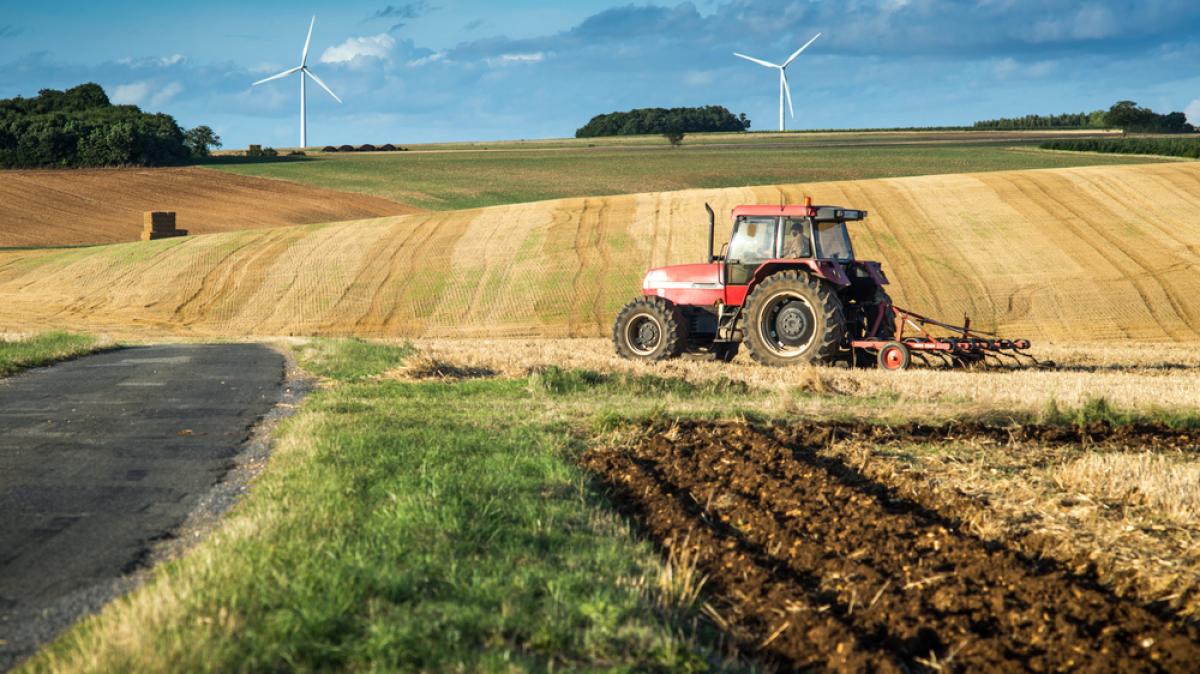 Agriculture