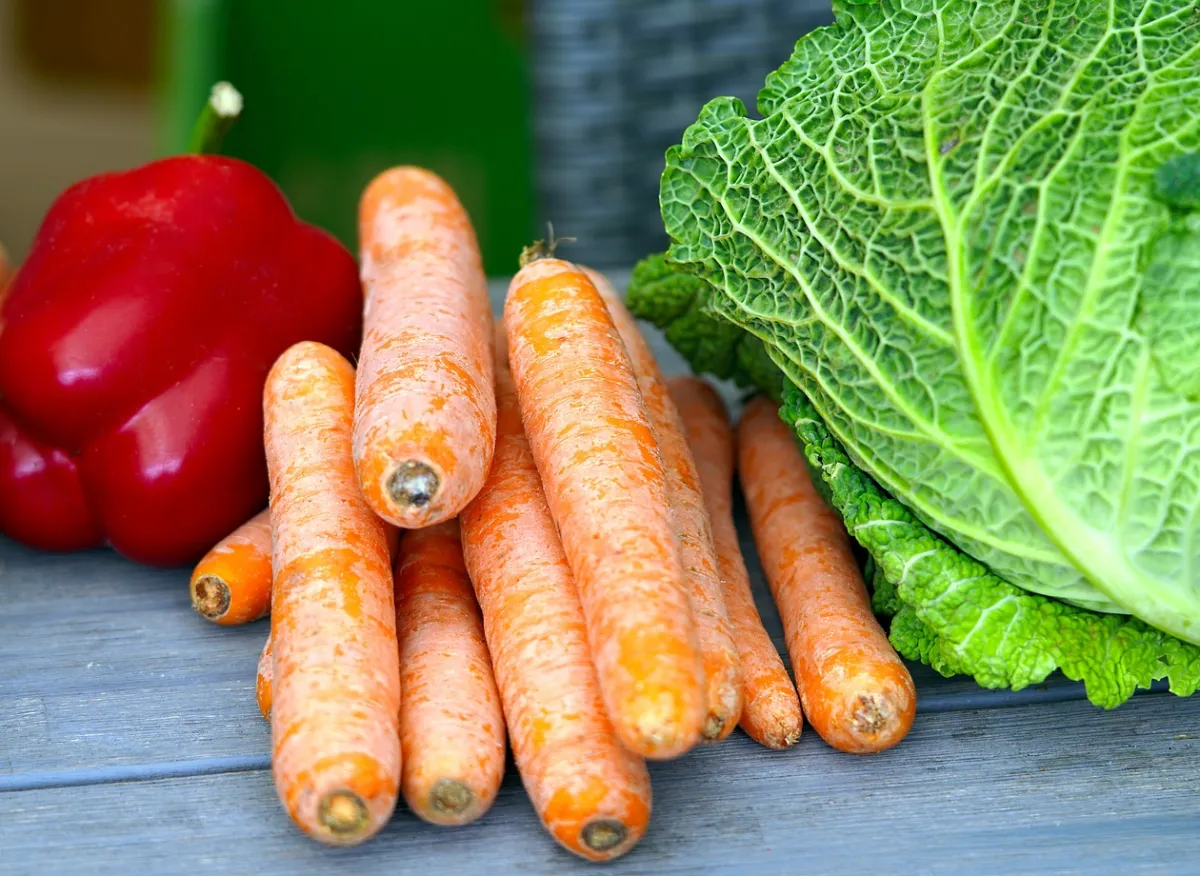 Journée alimentation - légumes