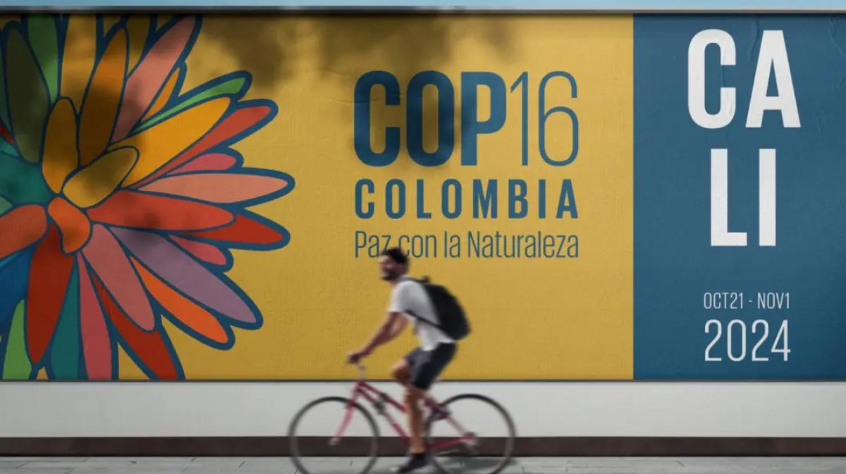 COP 16